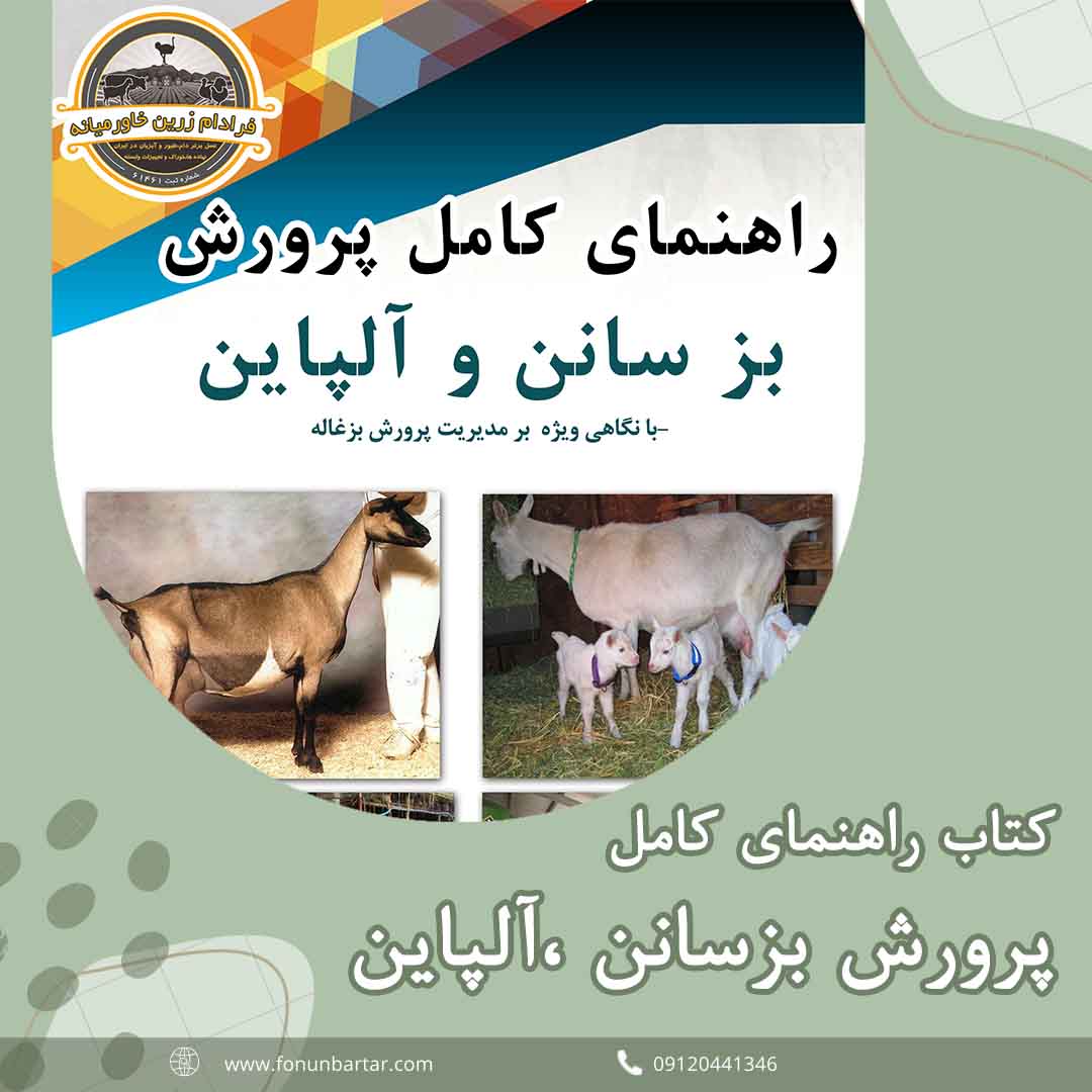 راهنمای پرورش بزسانن + Sanan Goat Breeding Guide