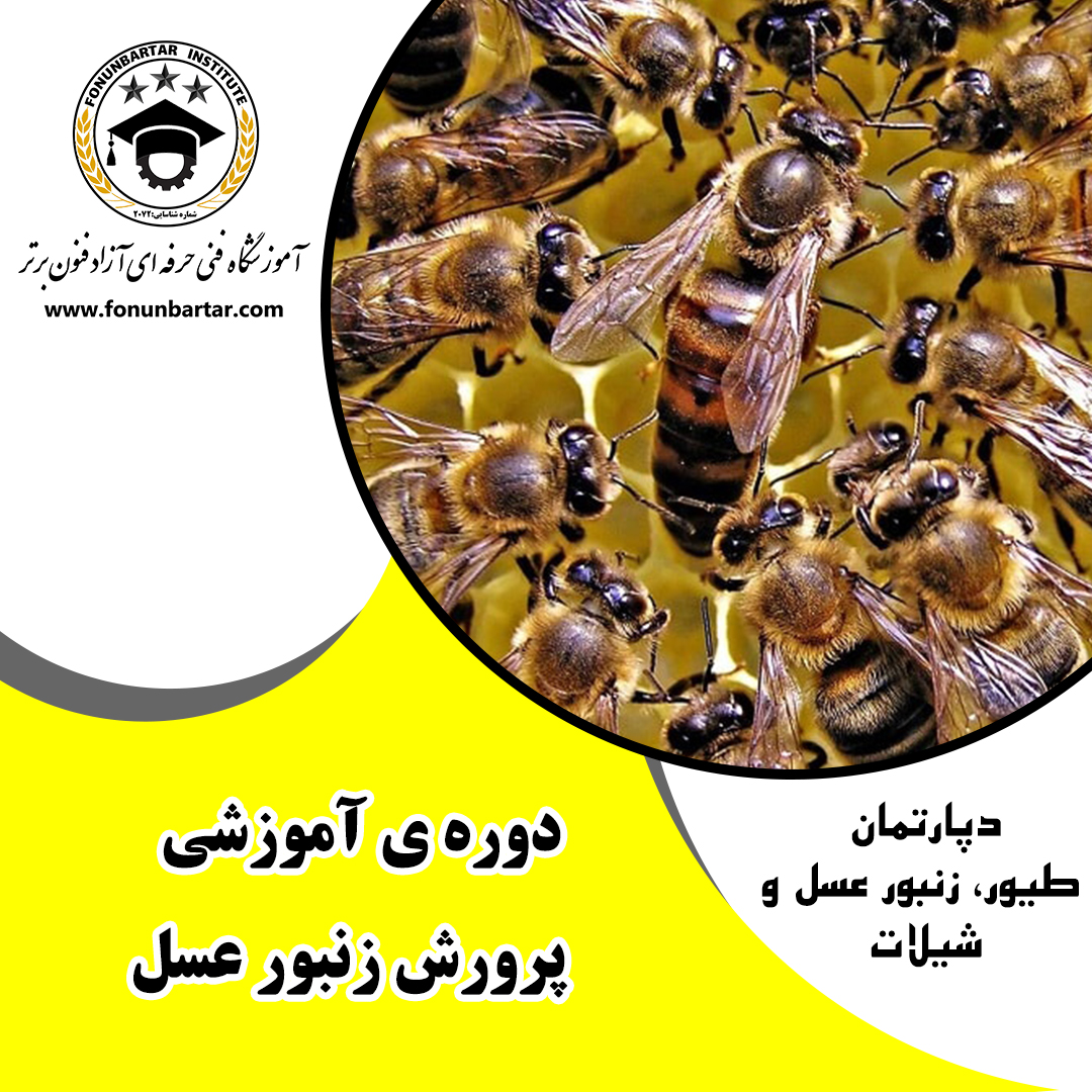 پرورش زنبور عسل +  Bee breeding