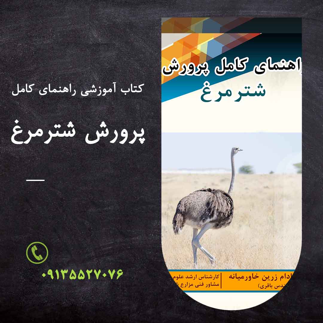 راهنمای پرورش شترمرغ + Ostrich Breeding Guide