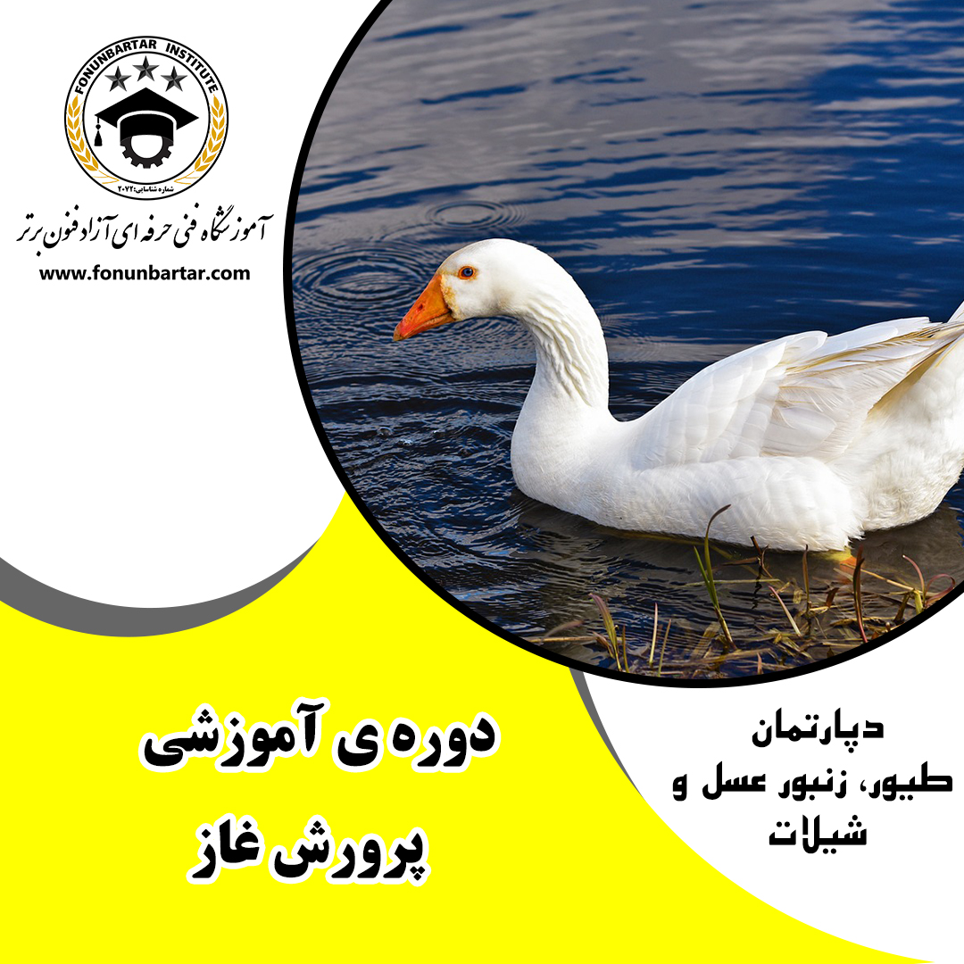 پرورش غاز + Goose breeding