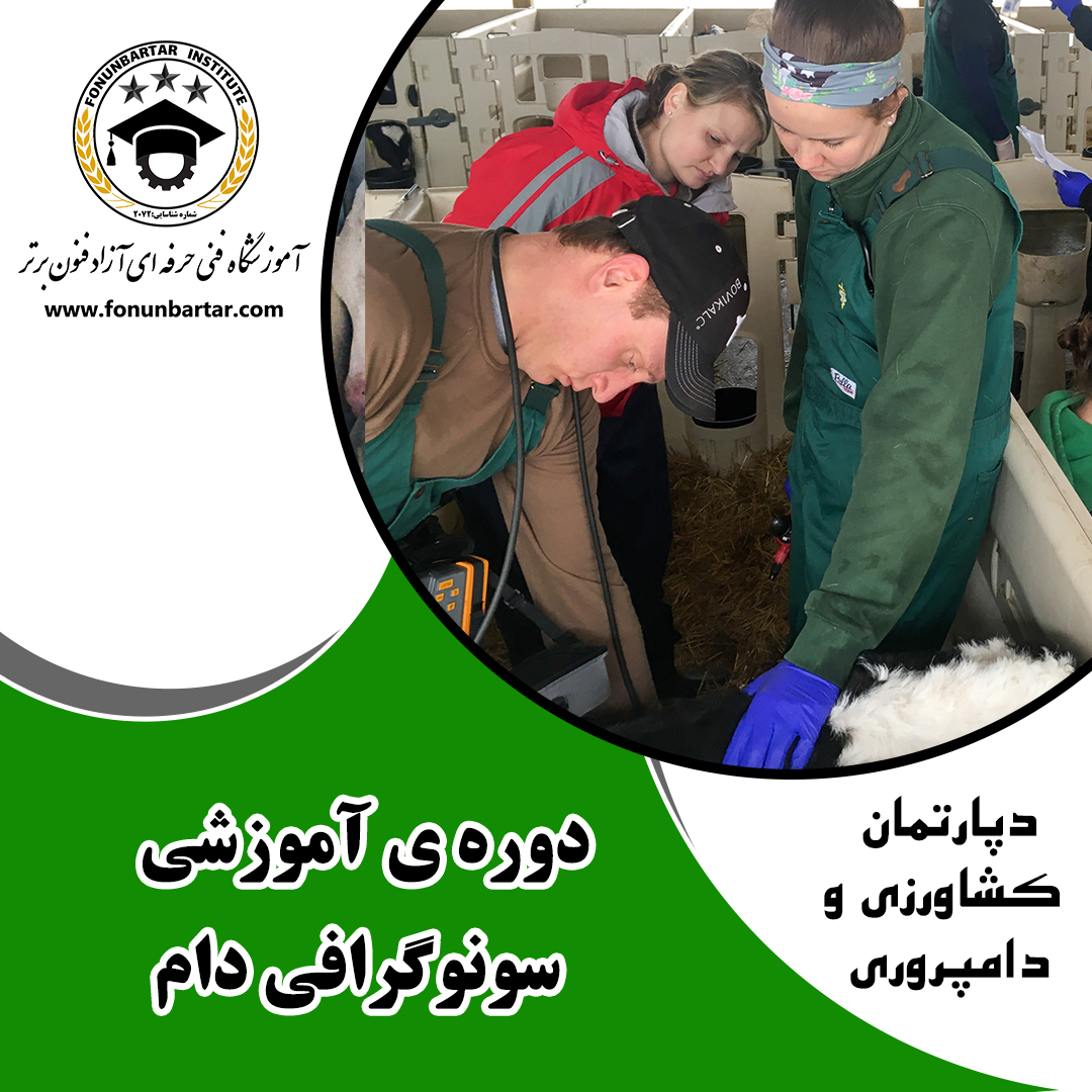  سونوگرافی دام + Animal ultrasound