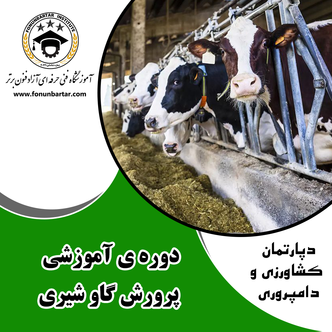 دوره پرورش گاو شیری + Dairy breeding period