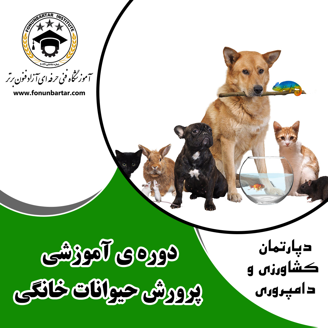 دوره آموزشی پرورش حیوانات خانگی + Raising pets