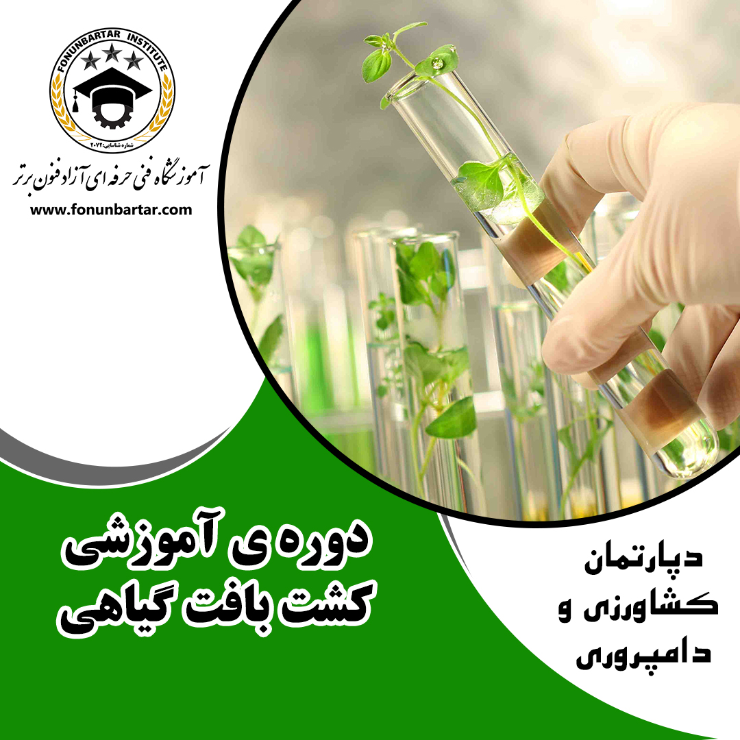 کشت بافت گیاهی + Plant tissue culture