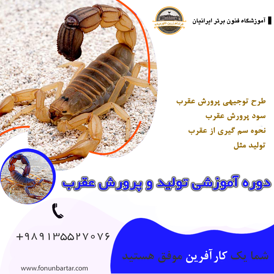 پرورش عقرب + Scorpion breeding