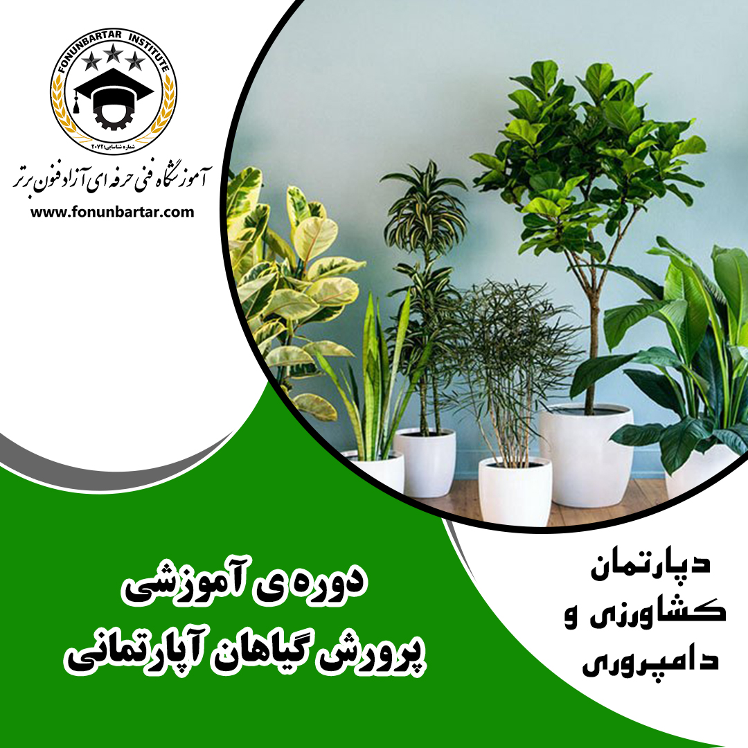 پرورش و نگهداری گیاهان آپارتمانی + Growing and maintaining houseplants