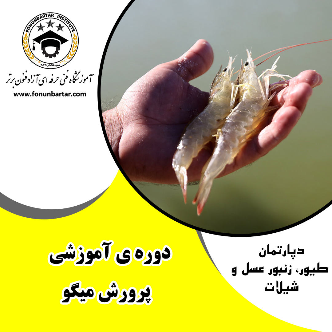 دوره آموزشی پرورش میگو + Shrimp breeding training course