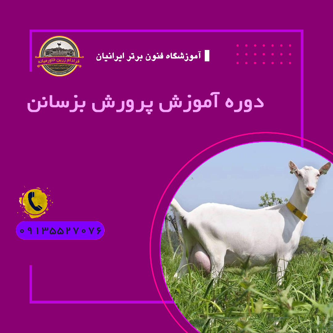 دوره آموزش پرورش بزسانن + Sanan goat breeding training course