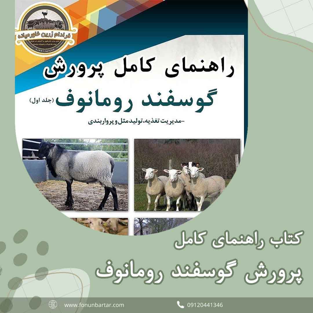 راهنمای پرورش گوسفند رومانوف + Romanov Sheep Breeding Guide